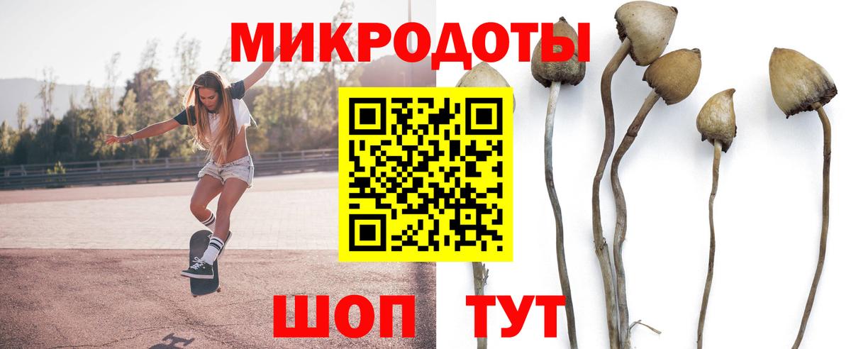 Галлюциногенные грибы Psilocybe  Псилоцибиновые грибы ЛСД  Вход с VPN  Сергиев Посад 